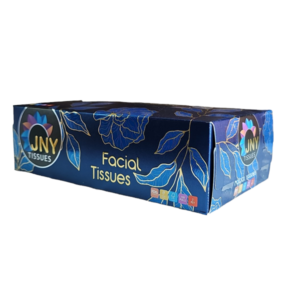 FACIAL TISSUES 100 PULL