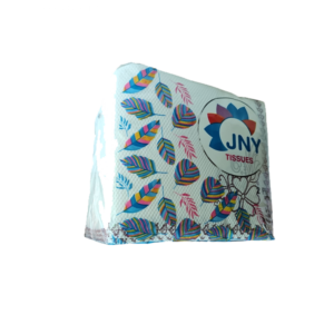 2 Ply Tissue Printed